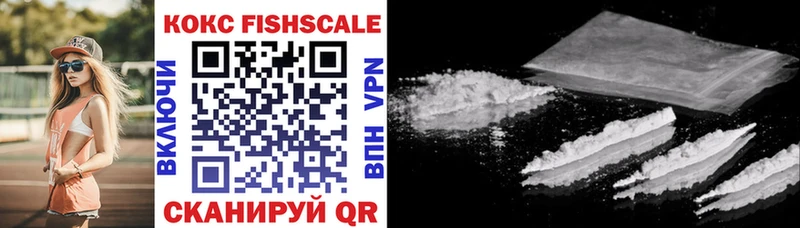 Cocaine Fish Scale  МЕГА зеркало  Никольск  сколько стоит 