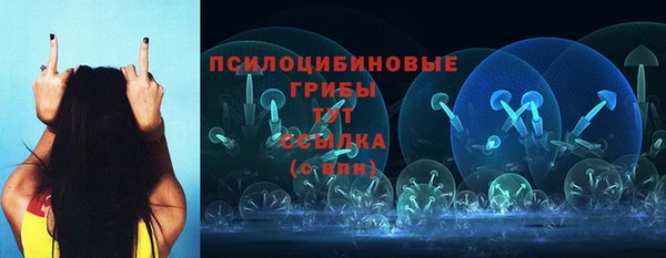 трава Кодинск