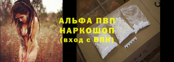 стафф Козельск