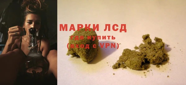 стафф Козельск