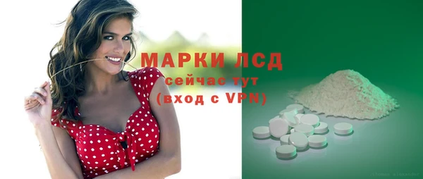стафф Козельск