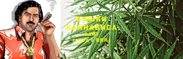 спиды Козловка