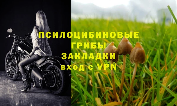 спиды Козловка