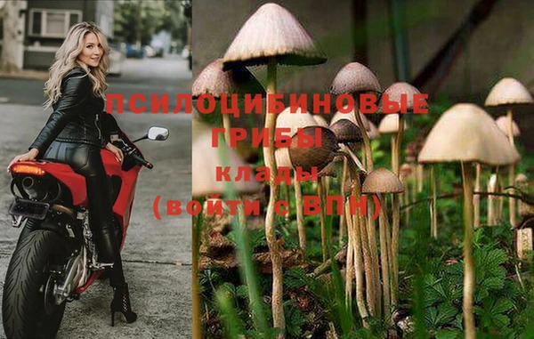 стафф Козельск