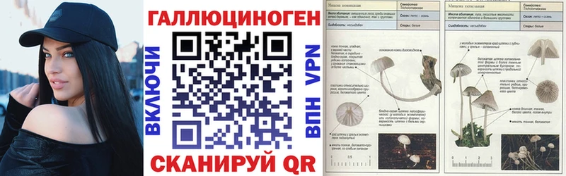закладки  Никольск  Псилоцибиновые грибы GOLDEN TEACHER 