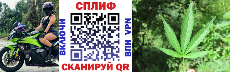 сколько стоит Никольск Конопля сатива